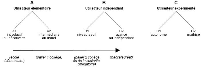L'échelle de compétence langagière globale fait apparaître trois niveaux généraux (A,B et C) subdivisés en six niveaux communs (A1, A2, B1, B2, C1 et C2)